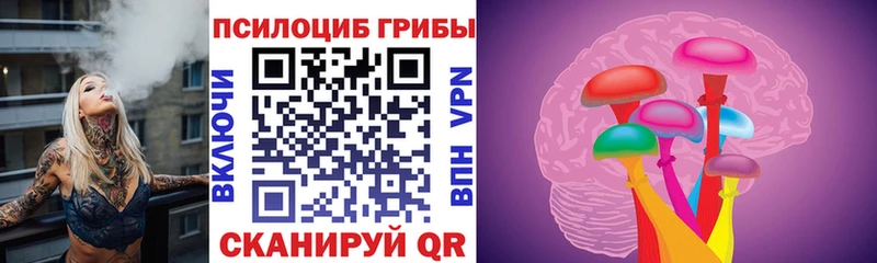 Псилоцибиновые грибы прущие грибы  Нея 